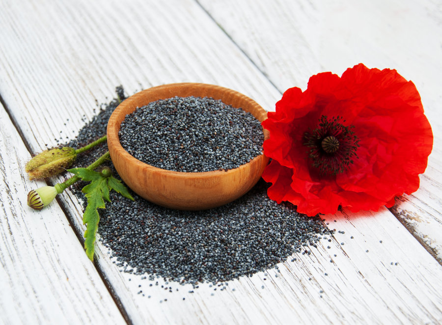 poppy seed dishes