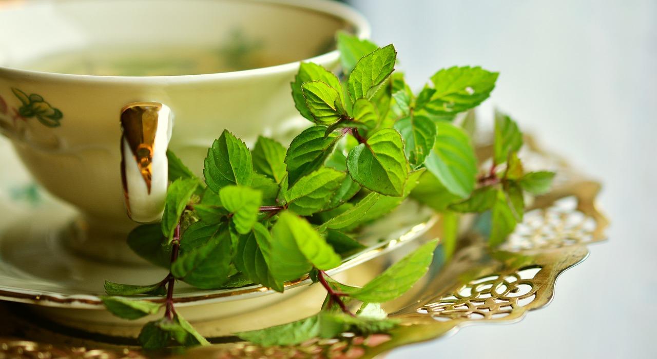 jak parzyć zieloną herbatę żeby pobudzała